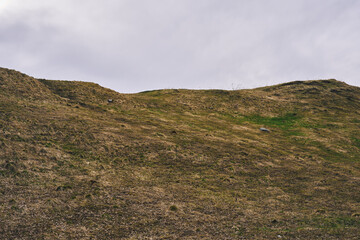 Pasture in early spring in the cultural landscape of Balke, Toten, Norway, in April.