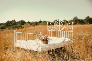 Wrought iron bed standing in center with basket of wildflowers in sun-burnt summer field