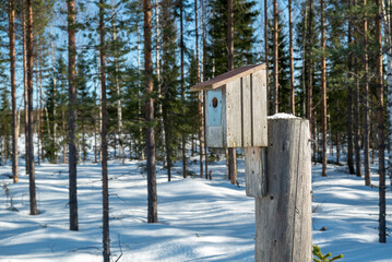 A birdhouse on a stump in a winter landscape with a plate around the hole as protection against...