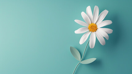 Beautiful colorful flower backgrounds are used for presentations or framed photos. Text background