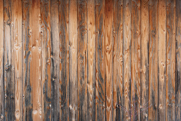 weathered wooden wall with brown boards and little plant in front