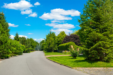 A beautiful rural landscape with a countryside road with green trees