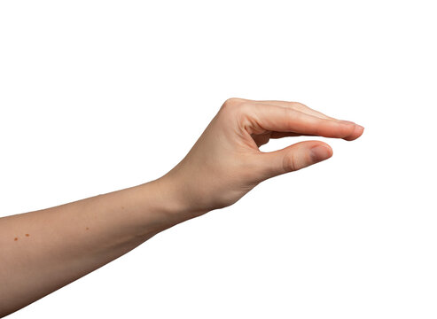 Hand gesture, fingers showing something, holding small, little isolated on white, transparent png