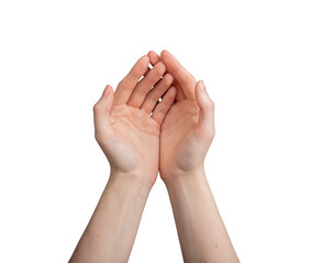 Two hands holding, cherishing, caring about something, love, support, isolated on white background,...