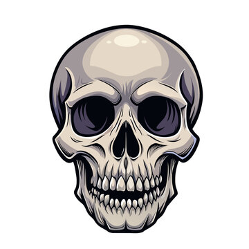 Human evil skull on white background