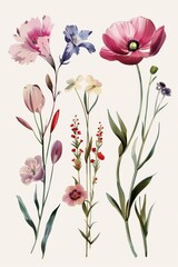 An exquisite collection of various flowers painted with watercolor, featuring pastel tones and graceful aesthetics