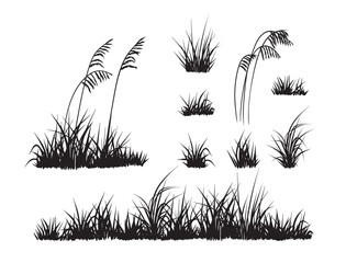 Beach grass, reed silhouettes collection. Vector elements isolated on white.  - 783999739