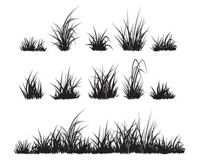 Grass silhouettes collection. Grass elements isolated on white.  - obrazy, fototapety, plakaty