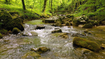 Fototapeta na wymiar Beautiful forest stream with mossy green rocks and idilic scenery. 