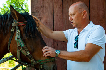 Man with horse in stable at countryside ranch. Man horse rider in summer outdoor. Equestrian and...