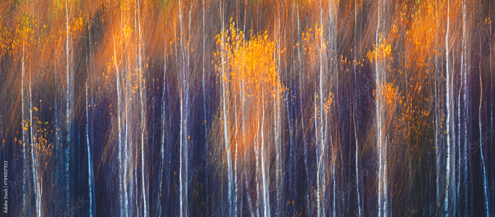 Aufkleber abstract blurred forest with trees in various shades of brown and orange