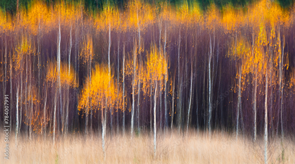 Aufkleber abstract blurred forest with trees in various shades of brown and orange