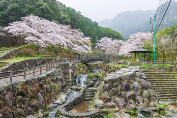 Okawachiyama village with sakura blossom, Imari, Saga