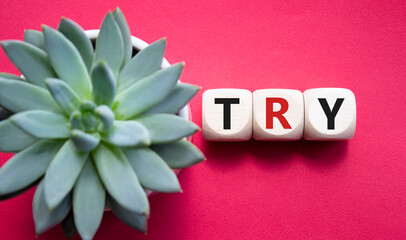 Try symbol. Wooden cubes with word Try. Beautiful red background with succulent plant. Business and...