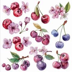 Deurstickers Charming watercolor pack showcasing cherry fruit, single flowers, and elements in soft pastel hues on a white background. Ideal for adding a whimsical touch to designs © Yana