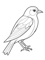 Fototapeta premium Bird coloring page, outline, white color, white background,ai generated 