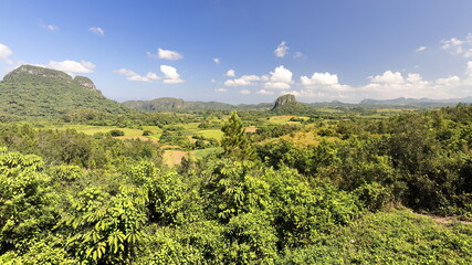 Karst landscape with dome-like limestone outcrops -mogote Zecacias, right- and Sierra de la Guasasa -left- in the Valle de Viñales Valley-Cuba-172