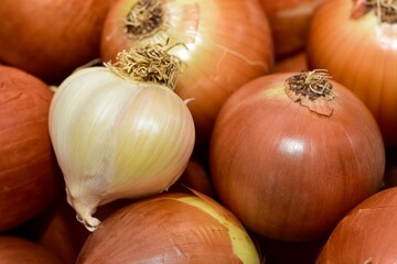 photos of onions prepared for sale