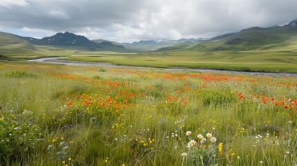 A field of vibrant wildflowers stretching to the horizon, a winding river cutting through, panoramic