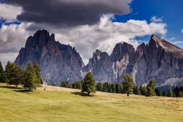 Foto auf Leinwand Natur Majestic Dolomites Behind the Soft Green Seiser Alm  © otterspeer.com Stock