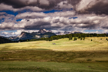Fototapeta na wymiar Majestic Dolomites Behind the Soft Green Seiser Alm