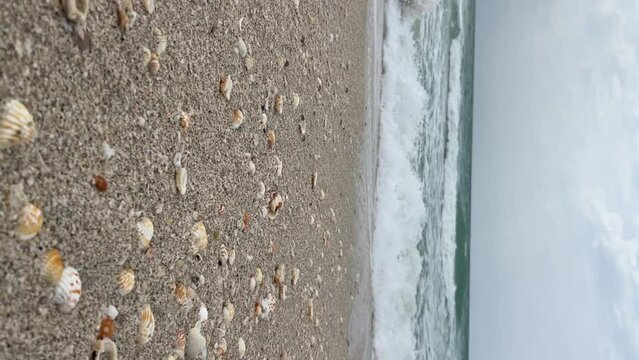 Close-up low angle view of small shells lying on sandy beach in a cloudy day on tourist resort. Sea wave moves towards camera. Real time handheld vertical video. Soft focus. Sea travel theme.