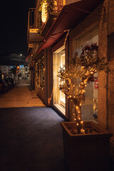 christmas tree at night