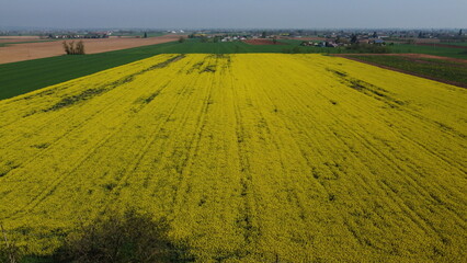 The color of the fields from the drone, San Giuliano Nuovo, Alessandria, Piedmont, Italy