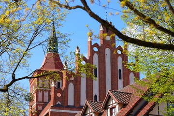 Colorful leaves on the background of the cathedral