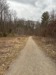 Fototapeta na wymiar Dirt path into the forest