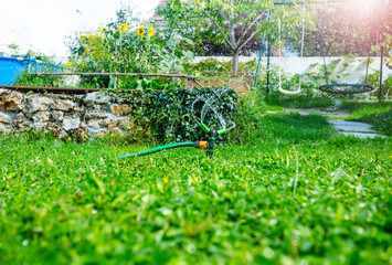 Sprinkler dispersing water across verdant grass in sunny garden - 784040779