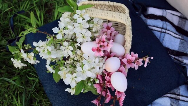 Wicker basket with Easter eggs and spring flowers. Horizontal video top view. Traditions. Spring holidays.