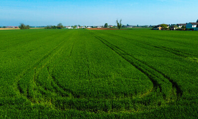 Fototapeta na wymiar The color of the fields from the drone, San Giuliano Nuovo, Alessandria, Piedmont, Italy