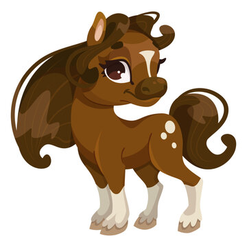 A cartoon illustration of a brown pony with white markings, standing on a plain background, depicting a cute animal character. Vector illustration