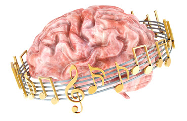 Human Brain with music notes around, 3D rendering isolated on transparent background - 784054763