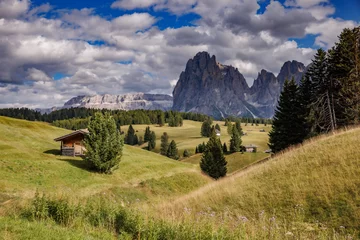 Stoff pro Meter Majestic Dolomites Behind the Soft Green Seiser Alm © Marcel Otterspeer