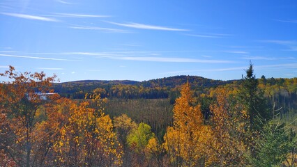 Fototapeta premium autumn landscape in the mountains