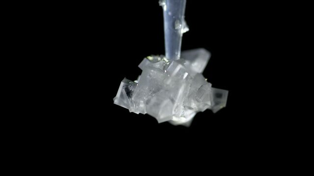 time lapse of potassium chloride crystal growth on black background