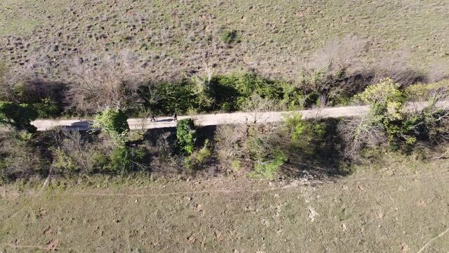 View of La Roccaccia, titignano, orvieto, italy, with a drone.
Landscape view.