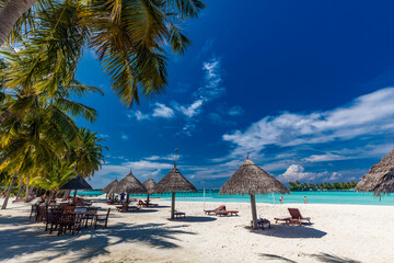 Tropical beach in Maldives with palm trees and vibrant lagoon