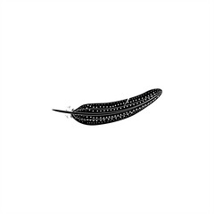 minimalist silhouette illustration of bird feather for icon or logo