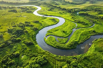 aerial view of winding river through green landscape nature photography drone shot digital ilustration