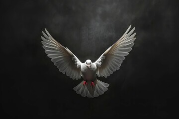 dove flying isolated on black background with majestic wing spread digital ilustration