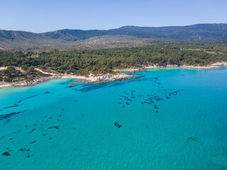 Obraz premium Sithonia coastline near Orange Beach, Chalkidiki, Greece