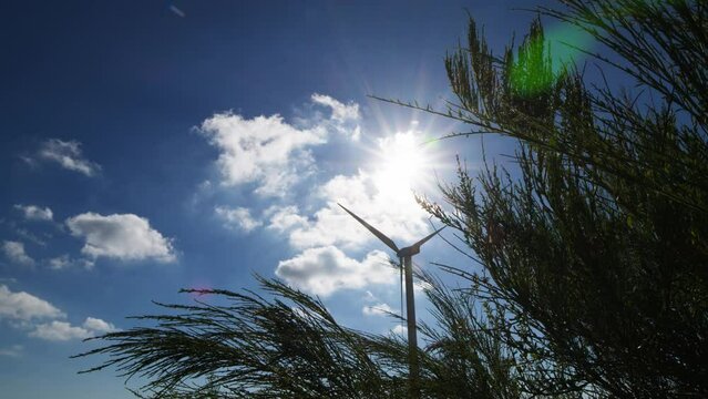 Renewable energy to save the planet with wind power plant
