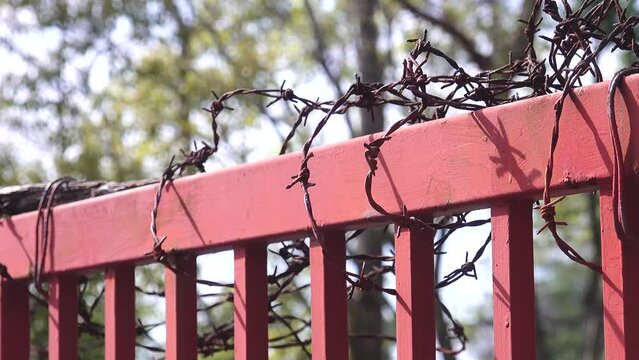 柵に巻かれた有刺鉄線