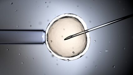 In vitro fertilization or IVF, 3d render.
