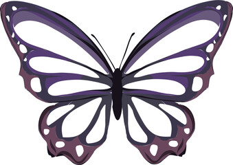 grey scala butterfly purple butterfly.eps - obrazy, fototapety, plakaty