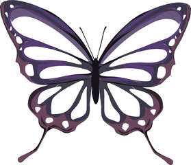 grey scala butterfly purple.eps