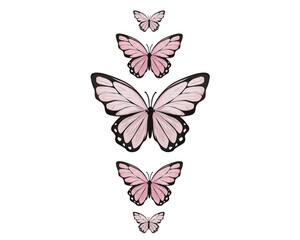 tropical butterflies with watercolor hand drawn brush isolated on white background flying butterflies Morpho butterfly Spring and summer insects vector	